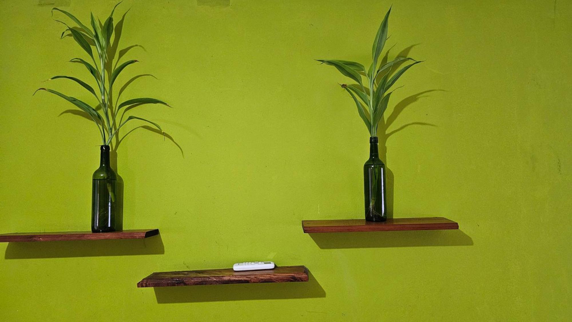 Hotel Restaurante Los Cocos Santa Cruz Zewnętrze zdjęcie